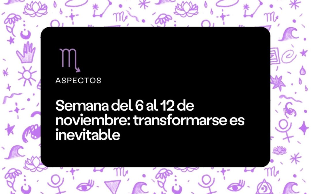 Semana del 6 al 12 de noviembre