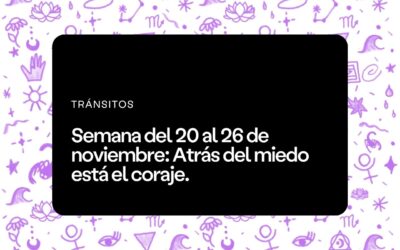 Semana del 20 al 26 de noviembre 2023
