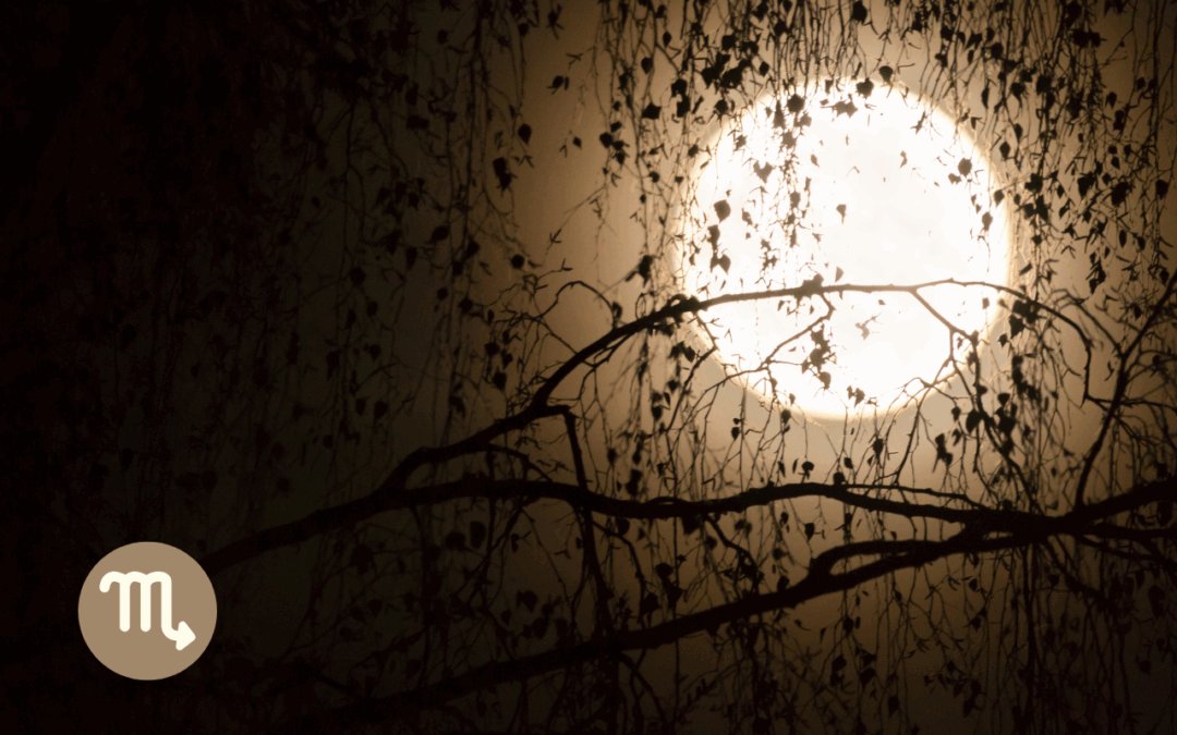 Luna llena en Escorpio mayo 2025