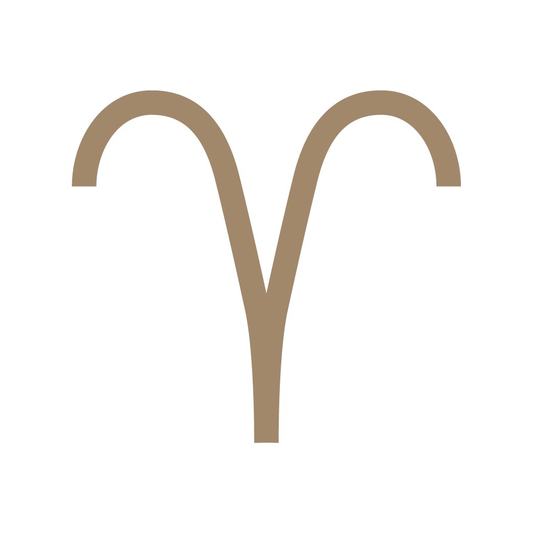 signo aries 25