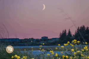 Luna nueva en virgo agosto 2025 temporada de eclipses 2025