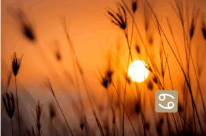 Ascendente en Cáncer en la Revolución Solar