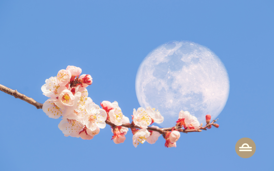 Luna nueva en Libra octubre 2025