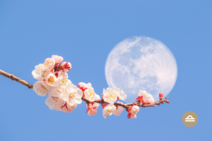 luna nueva libra octubre 2025 astrologia de octubre lunacion fin de la temporada de eclipses