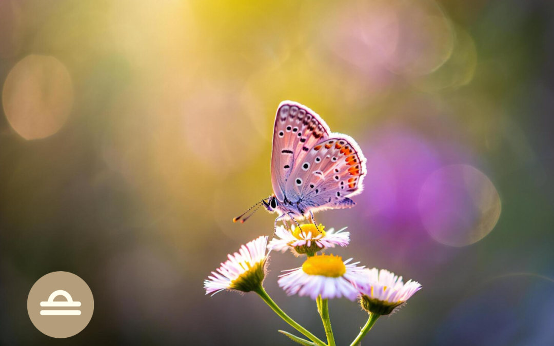 Ascendente en Libra en la Revolución Solar