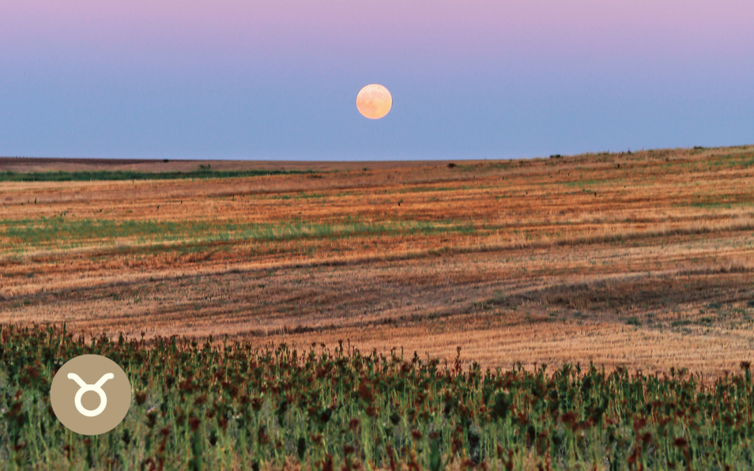 luna llena en tauro noviembre 2025 superluna superluna llena astrologia 2025