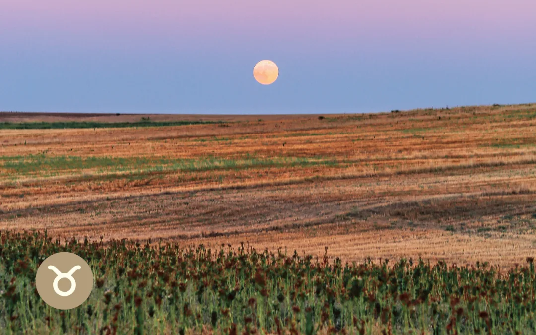 luna llena en tauro noviembre 2025 superluna superluna llena astrologia 2025