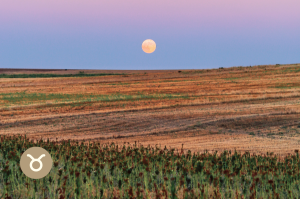 luna llena en tauro noviembre 2025 superluna superluna llena astrologia 2025