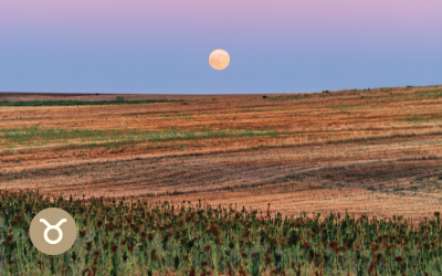 Luna llena en Tauro noviembre 2025