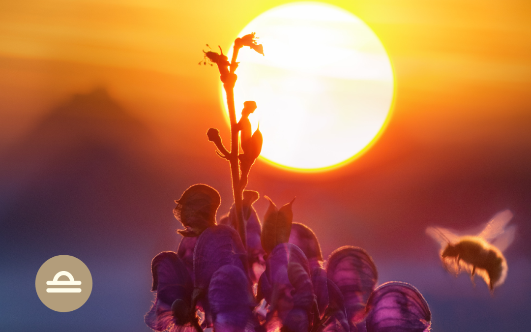 ¿Qué significa tener Sol en Libra?