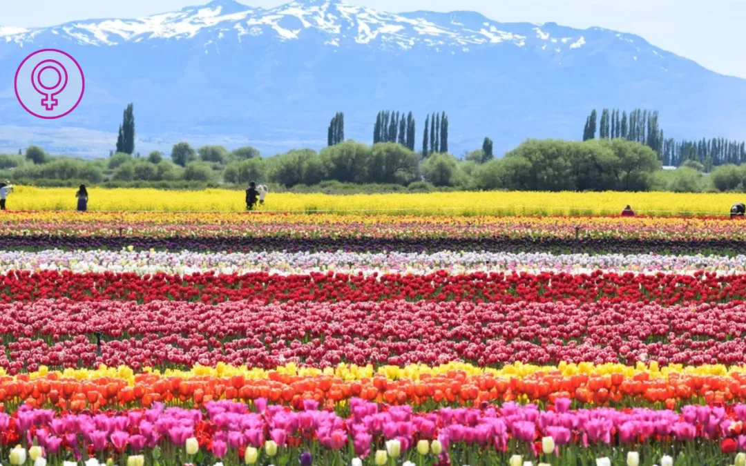 Paisaje de campo floreado y montañas nevadas de fondo
