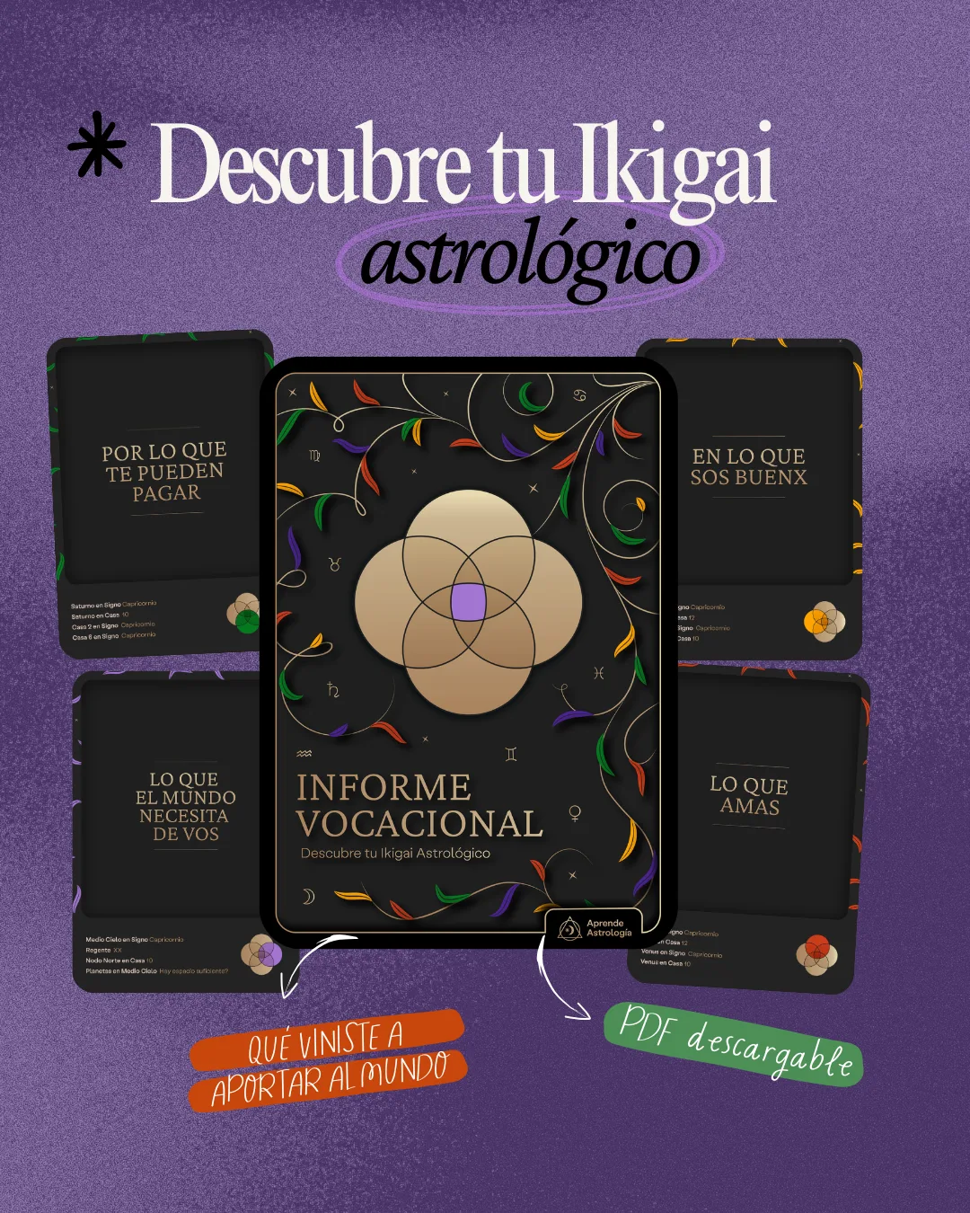 Informe vocacion