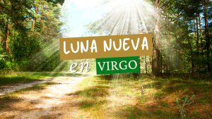 luna nueva en virgo septiembre 2026 temporada de eclipses venus en escorpio